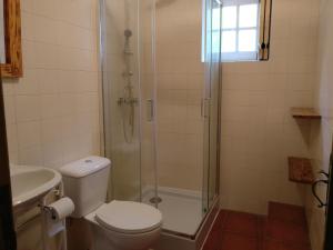 a bathroom with a toilet and a shower and a sink at Moinho da Cruz in Ponte de Lima +17 photos