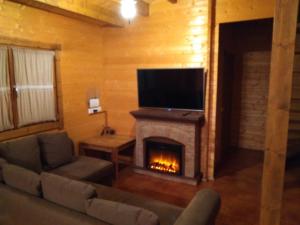 a living room with a fireplace and a flat screen tv at Casa Rural La Dehesa de Toledo a 5 minutos de Puy du Fou España in Cobisa