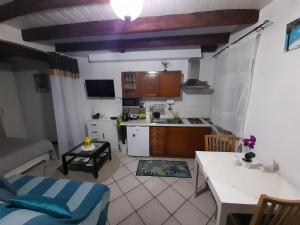 Gallery image of Apartment The old house in Vrsar