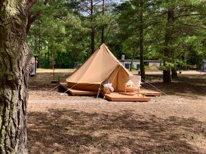 Camp Bursztynowy Las في غدانسك: خيمة سمراء في حديقة فيها شجرة