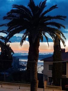 Φωτογραφία από το άλμπουμ του Celil Pansiyon στο Αϊβαλί +18 φωτογραφίες