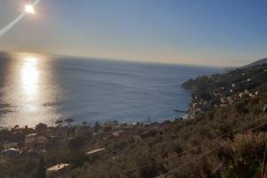 a view of the ocean from a hill with a town at Pace tra gli ulivi e il mare in Sori