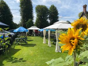 A garden outside The Dove Inn 