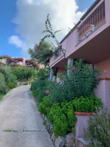 a building with plants next to a walkway at VEDERE vale più di mille parole in Badesi