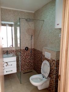 a bathroom with a shower and a toilet and a sink at Aleksandar First Sea Line Apartment in Bar