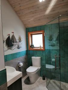 a bathroom with a toilet and a glass shower at Kowhai Cottages - Stunning Mackenzie in Twizel