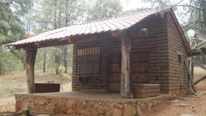 Teul de González OrtegaにあるCampamento Plan de los Álamosの森の切り株の小さなレンガ造り