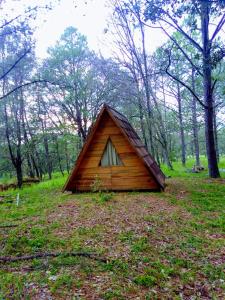 une petite cabane en bois au milieu d'une forêt dans l'établissement Campamento Plan de los Álamos, à Teul de González Ortega