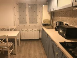 a kitchen with a table and a counter top at Apartament Colina in Cluj-Napoca