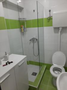a bathroom with a toilet and a glass shower at Apartman Karadjordje 2 in Belgrade