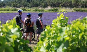 Hosté ubytování Lodges en Provence - Ecogîtes & Restaurant insolites