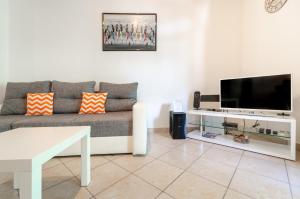 TV a/nebo společenská místnost v ubytování Ananas Apartments