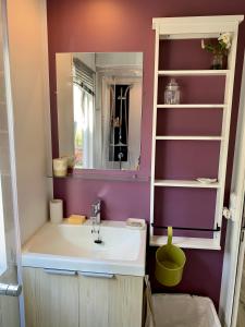 a bathroom with a sink and a mirror at le clos du bonheur in Le Pradet