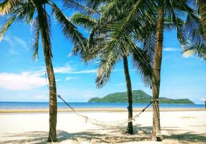 een hangmat tussen palmbomen op een strand bij Baan Golden Pool Villa in Sam Roi Yot