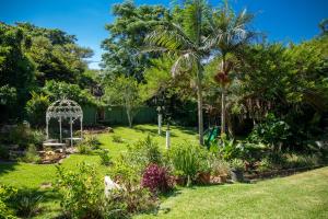 a garden with a gazebo and a palm tree at Lincoln Cottages BnB & Self-Catering in Pietermaritzburg