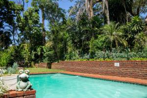 Lincoln Cottages BnB & Self-Catering في بيترماريتزبورغ: بركة سباحة مع تمثال فأر يجلس بجانبها