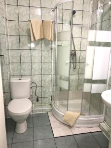 a bathroom with a toilet and a shower at Готель Ягодин in Starovoitove