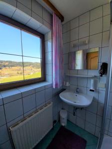 Un baño con lavabo y ventana. en Landgasthof Hasbauer, en Klein Sankt Paul