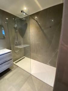 a shower with a glass door in a bathroom at Hotel Thermen Mineraal in Rijmenam