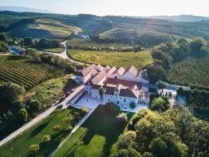 an aerial view of a large house in a vineyard at Quinta do Porto Nogueira by Romana Vini in Alguber