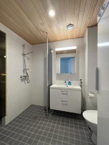 Een badkamer bij Hotel Lost in Levi