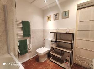 a bathroom with a toilet and a shower at La petite maison dans la bastide in Carcassonne