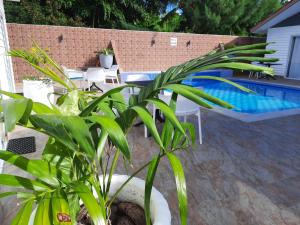 Bazén v ubytování Hotel Plein Soleil nebo v jeho okolí