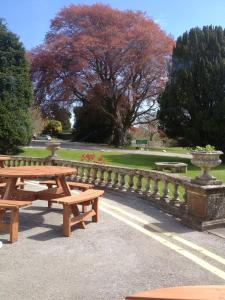 a row of wooden benches in front of a park at Court Colman Manor in Bridgend