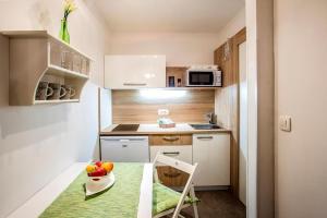 Gallery image of 7th Mill apartments in Kranj