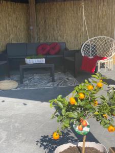 Posezení v ubytování Appartement Blanc cocooning