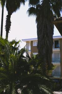 The building in which a panziókat is located