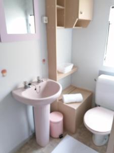 a bathroom with a sink and a toilet at Le pré vert in Campigny