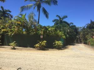 ogrodzenie z palmami za nim na polnej drodze w obiekcie Villas Casa Carlos w mieście La Abuela