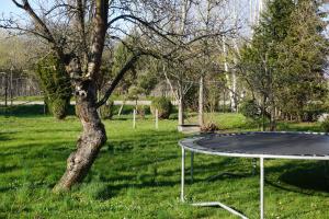 Stolní tenis v ubytování FeWo nähe Seenlandschaft - Belantis nebo okolí + 5 fotografií