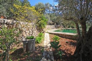 Ein Garten an der Unterkunft Can Bac