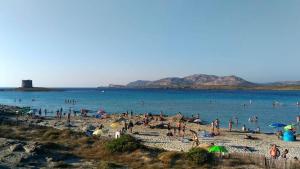 a group of people on a beach in the water at B&B Il Gatto Pescatore in Stintino