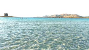 a large body of water with mountains in the background at B&B Il Gatto Pescatore in Stintino