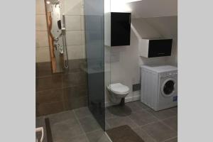 a bathroom with a toilet and a washing machine at F2 bis proche de toutes commodités in Château-Thierry