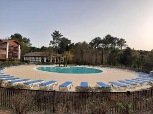 a group of lounge chairs and a swimming pool at Appartement a loué domaine de gasgogne a biscarrosse in Biscarrosse