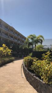 un bâtiment avec une cour ornée de plantes et un trottoir dans l'établissement Piso Jardines del Teide en el Puerto de la Cruz, à Puerto de la Cruz