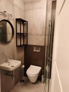 ein Badezimmer mit Toilette, Waschbecken und Dusche in der Unterkunft Kryształ A10, Garaż in Karpacz + 6 Fotos