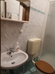 Koupelna v ubytování Apartments Petrica