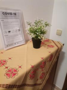 Postel nebo postele na pokoji v ubytování Apartments Petrica