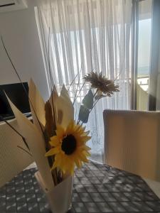 Fotografie z fotogalerie ubytování Apartments Petrica v destinaci Malinska