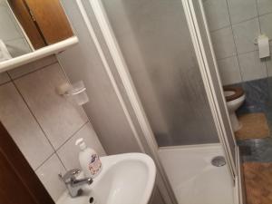 Koupelna v ubytování Apartments Petrica