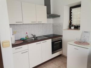 Kuchyň nebo kuchyňský kout v ubytování Apartments Petrica