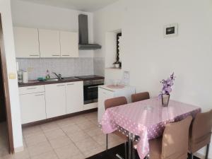 Kuchyň nebo kuchyňský kout v ubytování Apartments Petrica