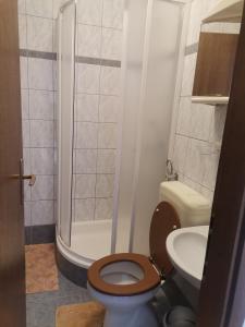 Koupelna v ubytování Apartments Petrica