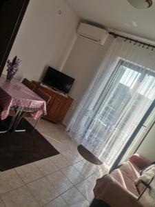 TV a/nebo společenská místnost v ubytování Apartments Petrica