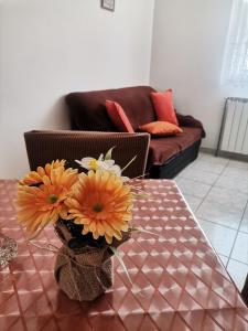 Posezení v ubytování Apartments Petrica